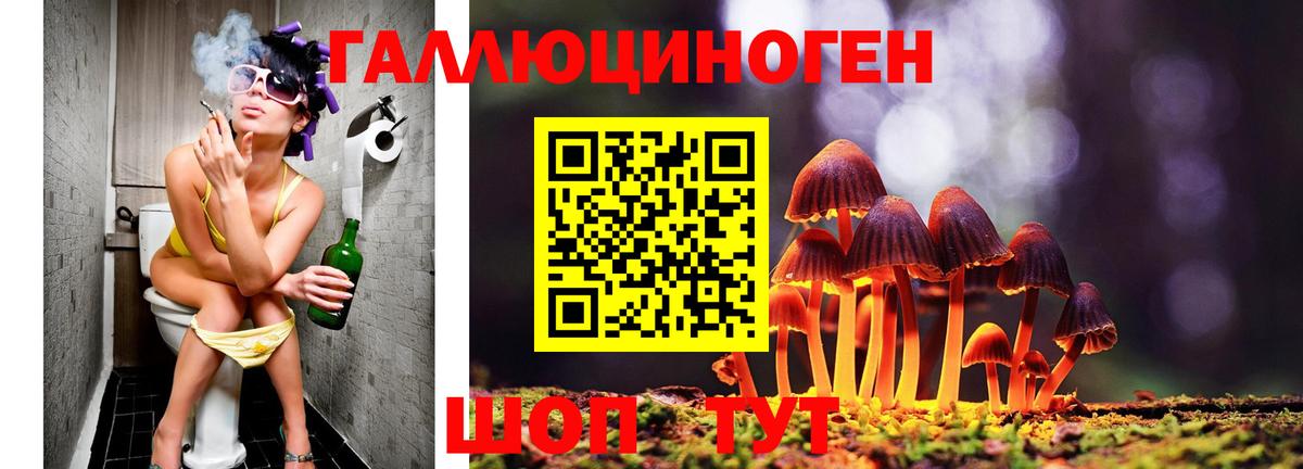 Псилоцибиновые грибы Magic Shrooms  наркошоп  Вход с VPN  Псков  Псилоцибиновые грибы Magic Shrooms 