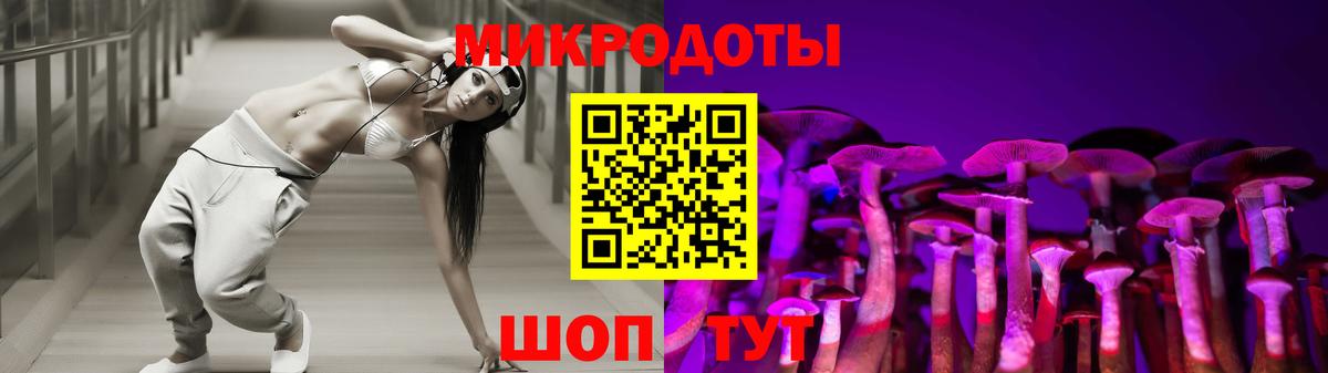 Галлюциногенные грибы Cubensis Псков